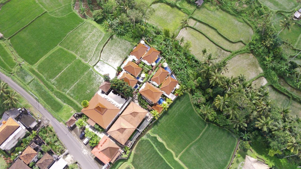 Danakha Villa Ubud テガララン エクステリア 写真