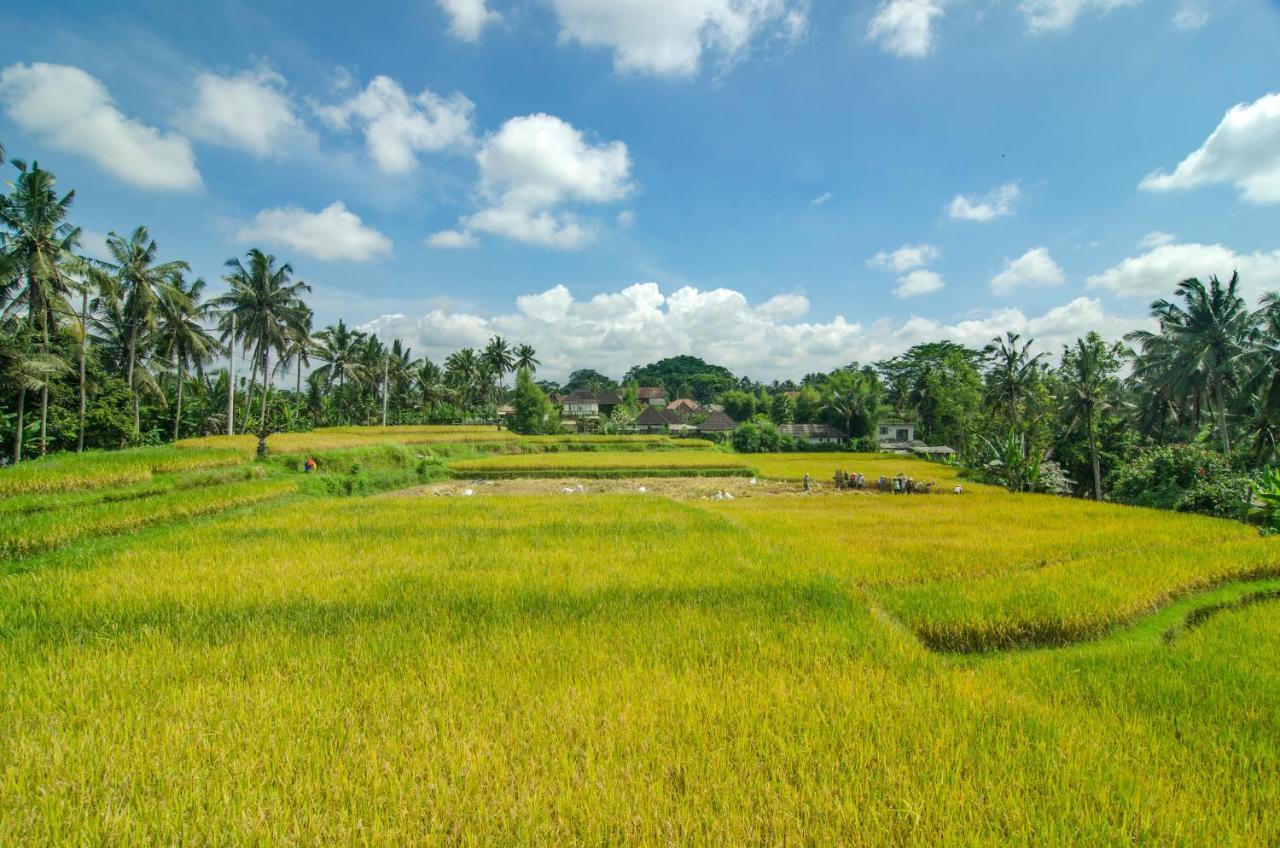 Danakha Villa Ubud テガララン エクステリア 写真